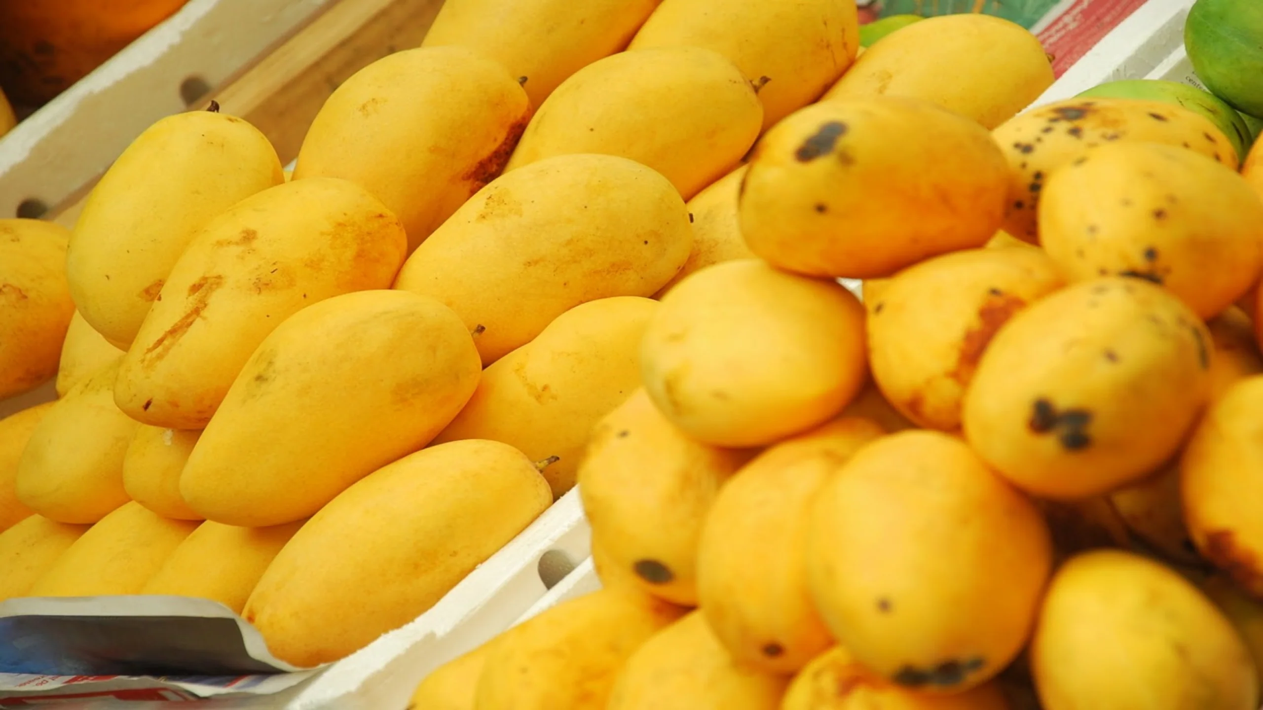 Fresh Mango Price in Pakistan