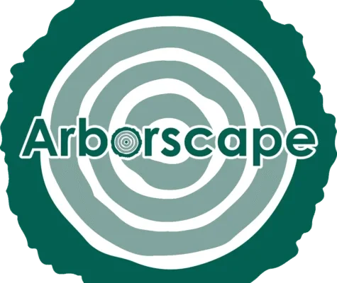 Tree Surgeon Cumbria