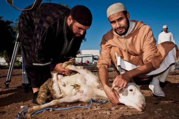 Are Online Eid Sacrifice Donations in the UK Safe?
