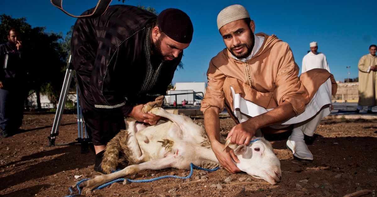 Are Online Eid Sacrifice Donations in the UK Safe?