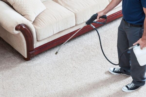 Upholstery Cleaning Denver