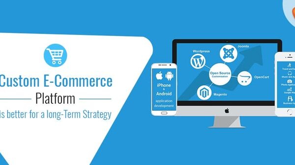 Shopify vs Custom E-Commerce Platforms