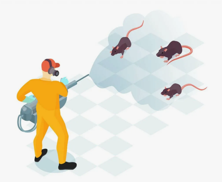 Mouse Killer Spray in Lahore