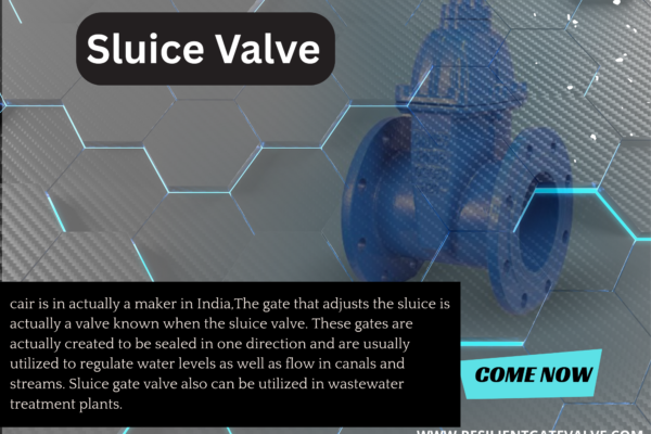 Double-Flanged-Sluice-Valve-Manufacturer