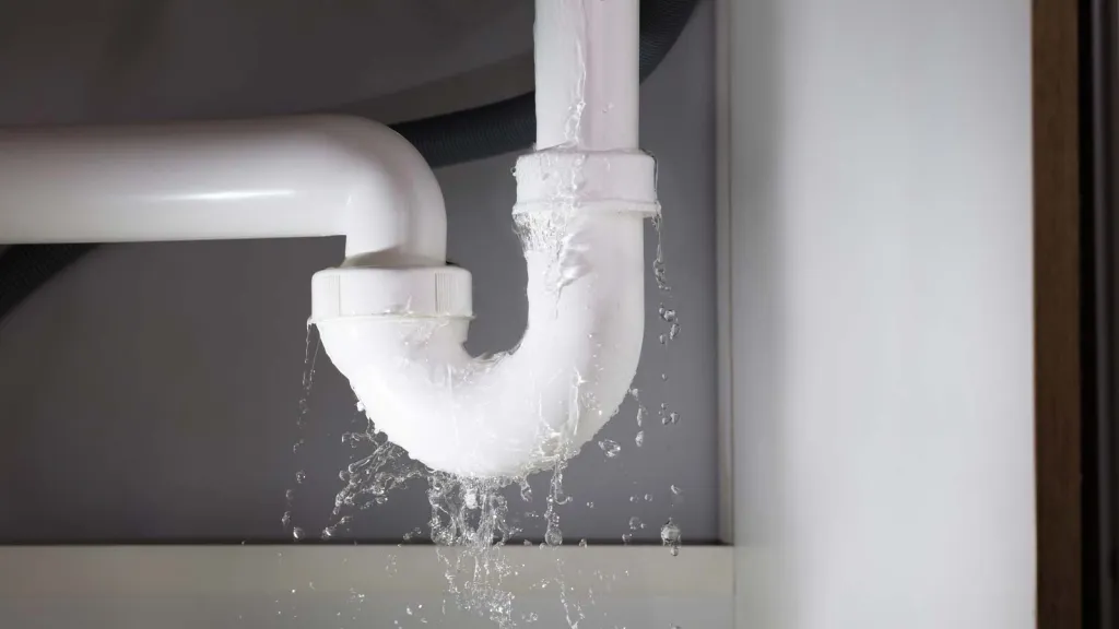 What Are the Most Common Home Repairs Needed After Winter?