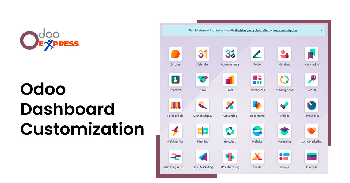 Odoo Dashboard Customization