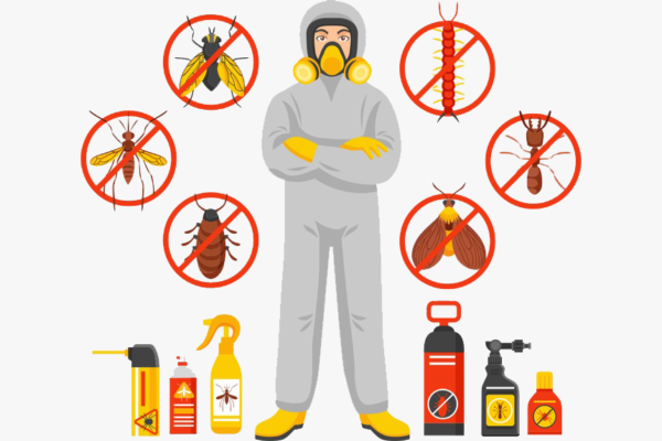 Pest Control Services in Lahore
