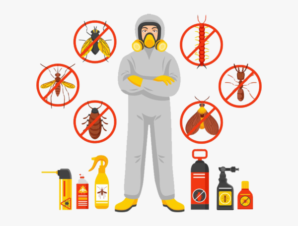 Pest Control Services in Lahore