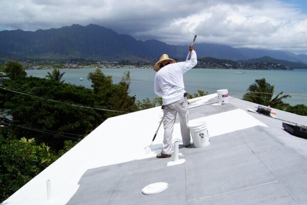 Roof Painting