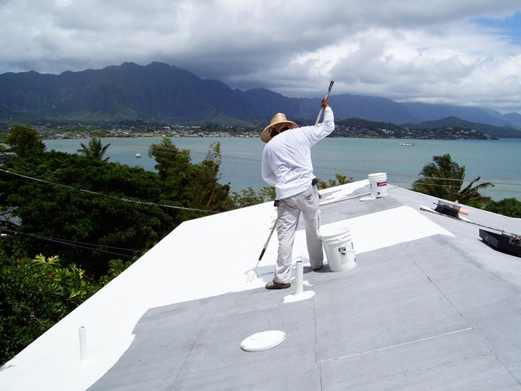 Roof Painting