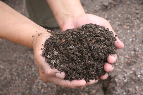 Landscaping Suppliers