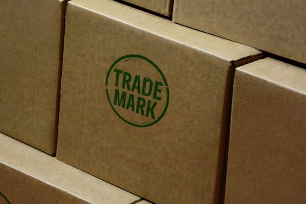 Why Do Successful Pakistani Brands Secure Their Identity Early