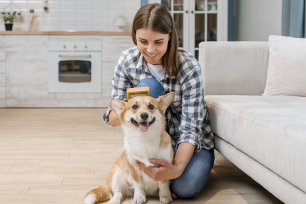 Pet Clinics in Dwarka