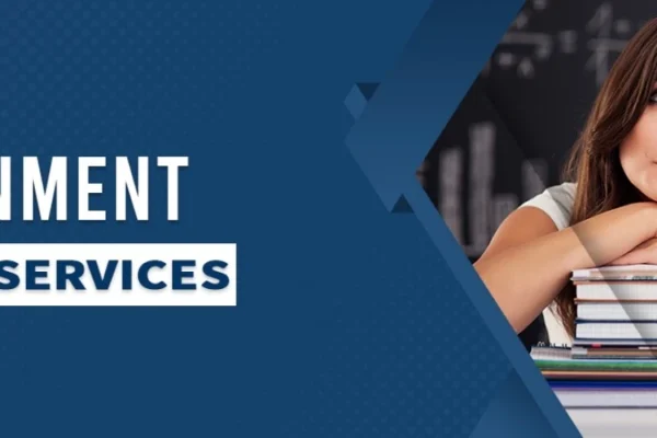 write my assignment​, professional assignment writing service