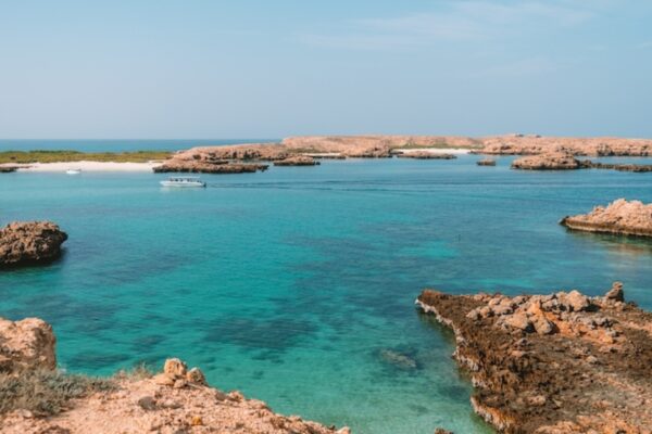 Scuba Diving Tours