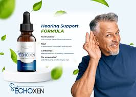 EchoXen