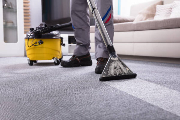 Carpet Steam