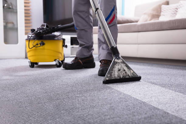 Carpet Steam