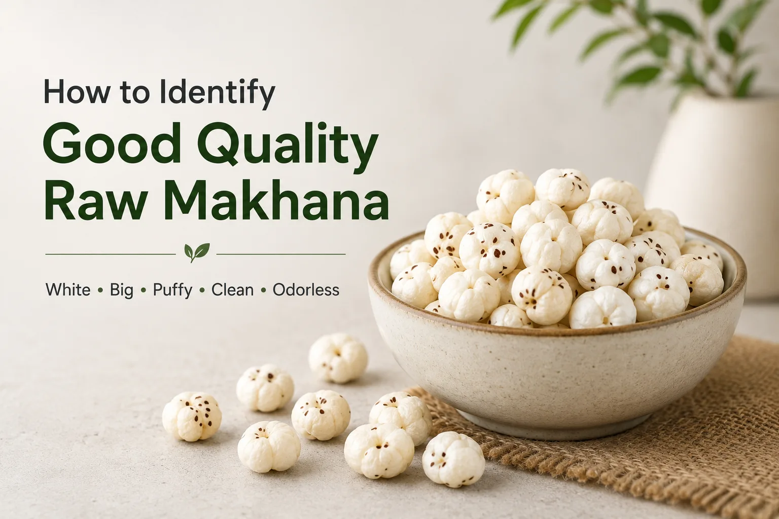 Bowl of premium quality raw makhana on a clean natural background