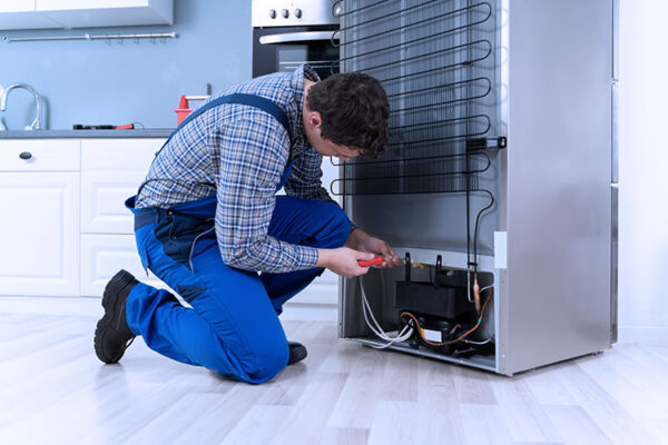 Refrigerator Repair Service in Hamilton
