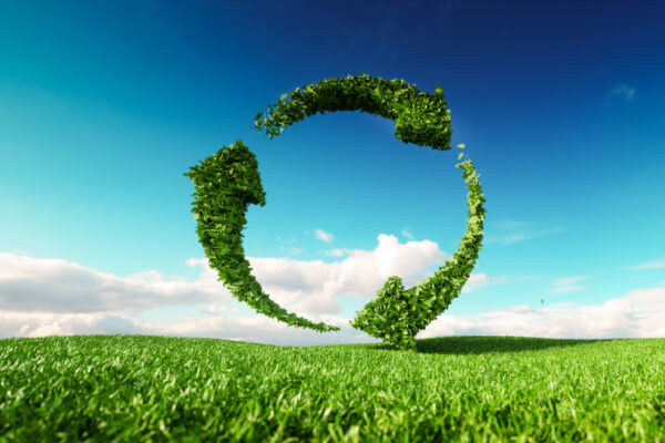 Carbon Emissions Calculations