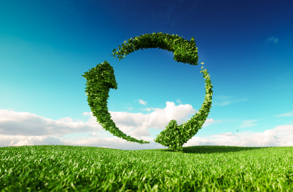 Carbon Emissions Calculations