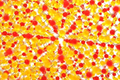 buy peptides online