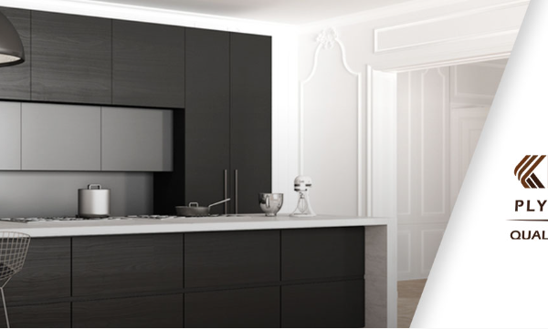 Flush Door Manufacturers
