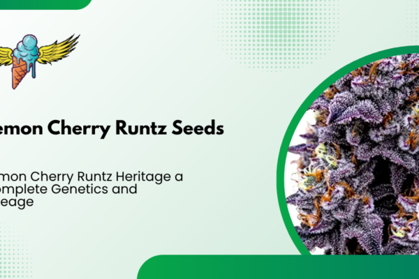 Lemon Cherry Runtz Heritage