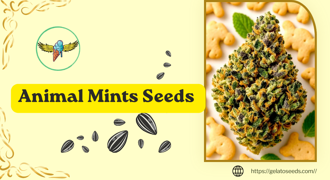 Animal Mints Seeds