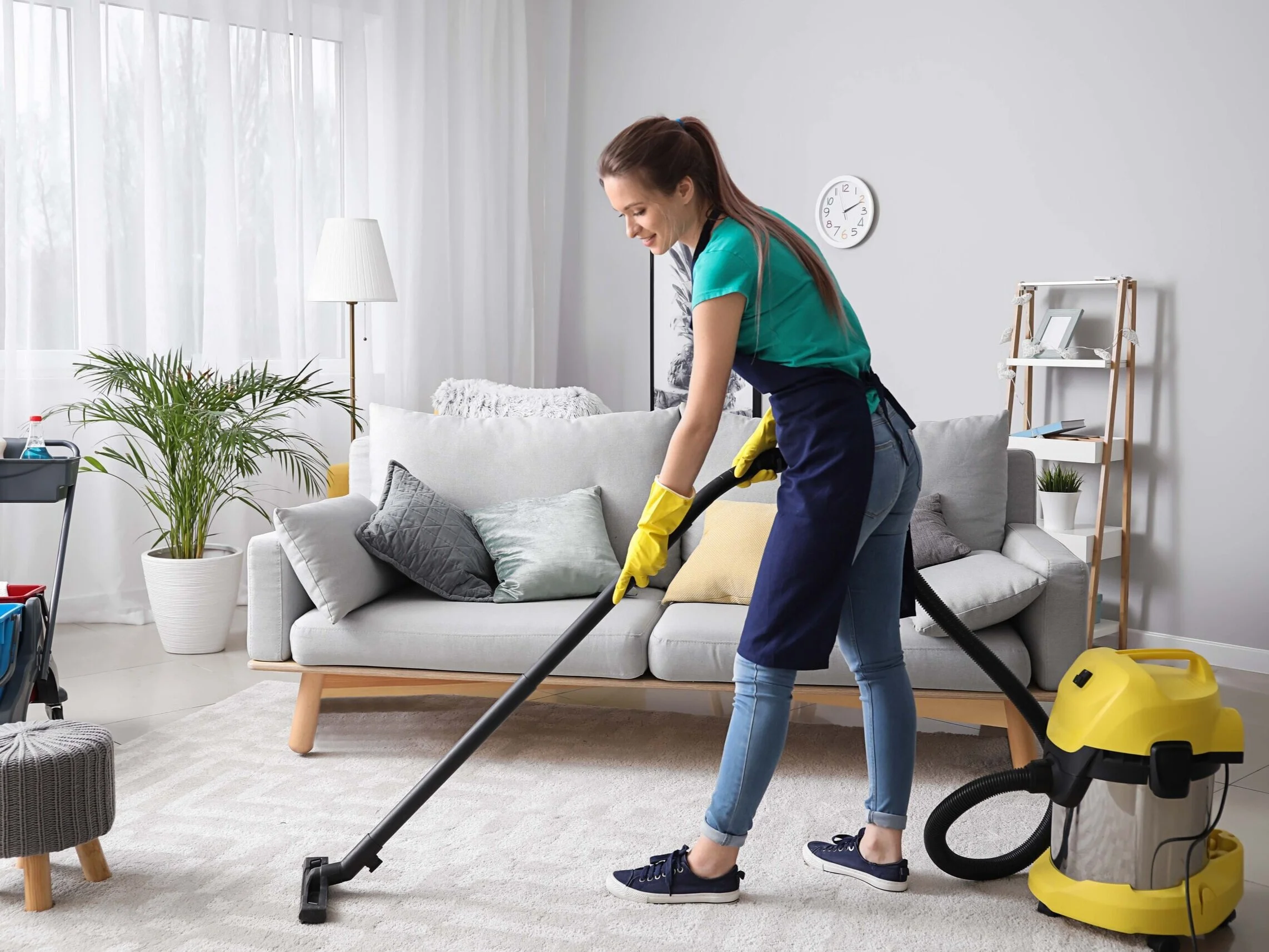 Regular Domestic Cleaning Services