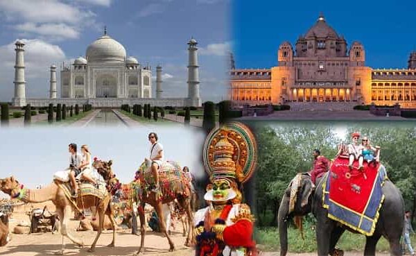 family holidays to india