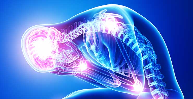 Ashwagandha Reduce Cortisol in Stressed Patients