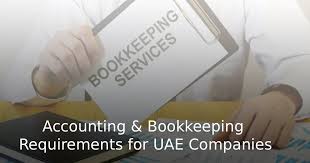 Bookkeeping Meets UAE Auditor Standards