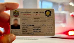 Professional License Renewal Costs in Dubai