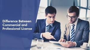 Professional vs. Commercial License