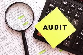 RAK Free Zone Audit Requirements for Professional Firms