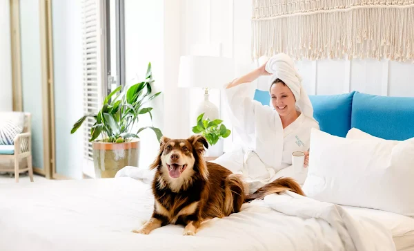Pet-friendly hotel San Diego welcoming guests with dogs