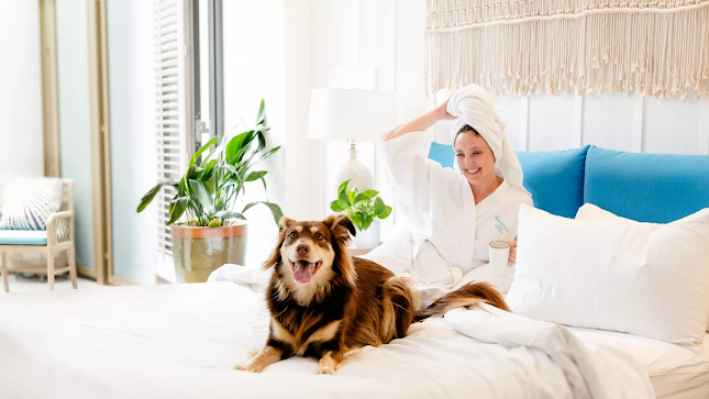 Pet-friendly hotel San Diego welcoming guests with dogs
