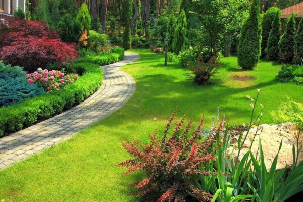 Landscaper Seattle WA