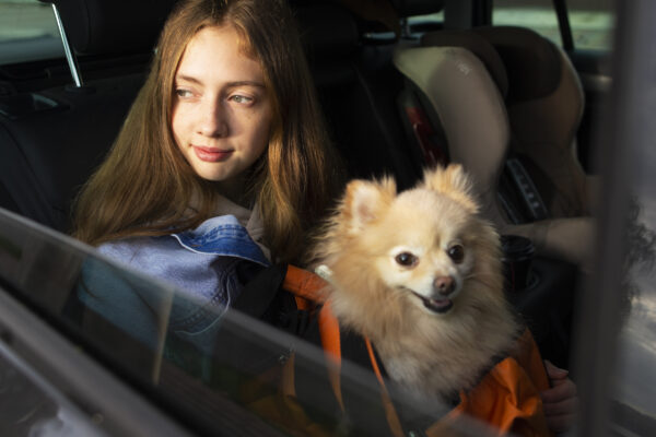 httpswww.execpets.co.ukpet-and-owner-transport-uk-and-europe