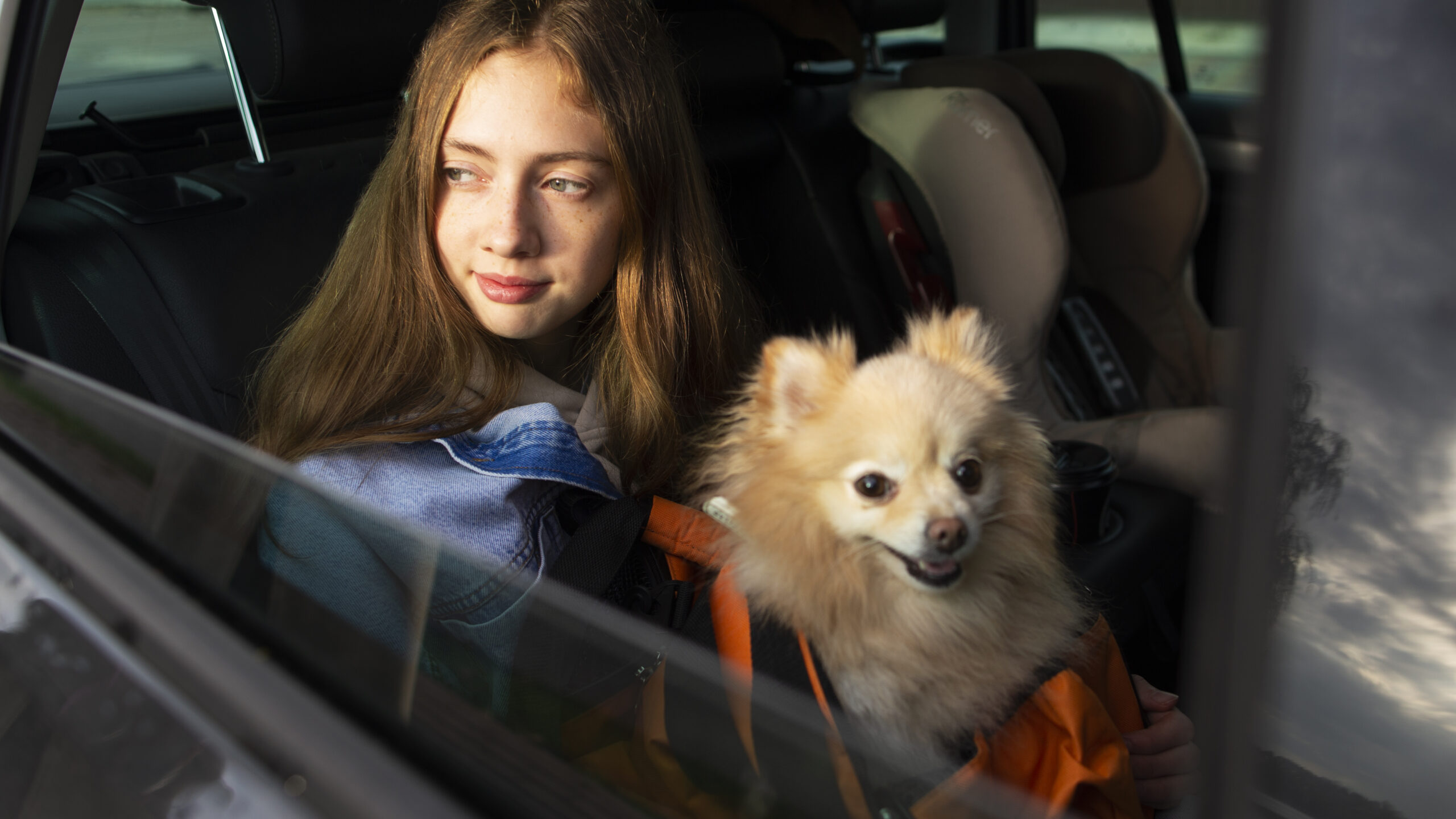 httpswww.execpets.co.ukpet-and-owner-transport-uk-and-europe