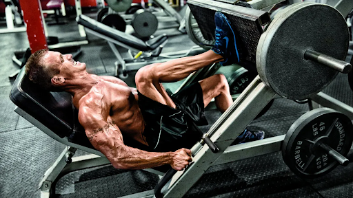 full body gym workout machines