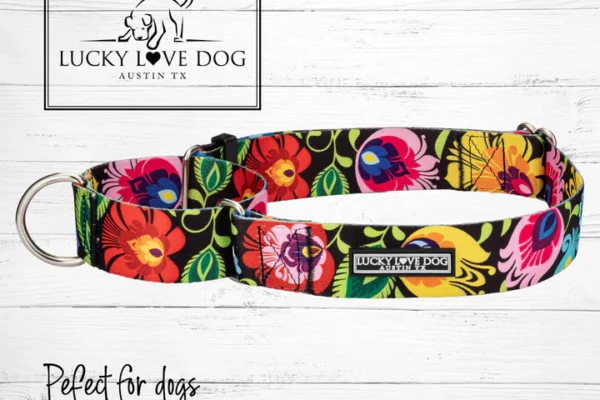 lucky love dog collars