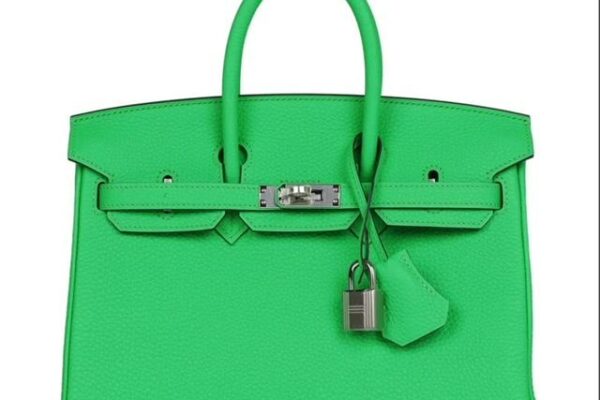 HERMES Birkin 25 Vert Comics Togo