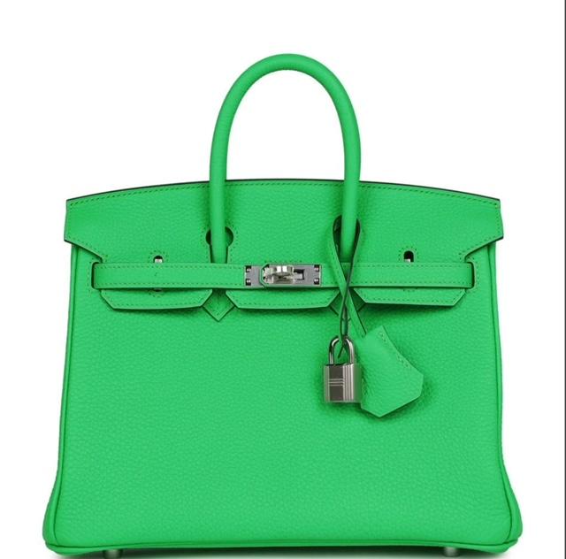 HERMES Birkin 25 Vert Comics Togo