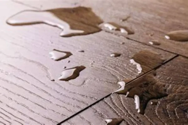 A Complete Guide to the Best Waterproof Flooring Options