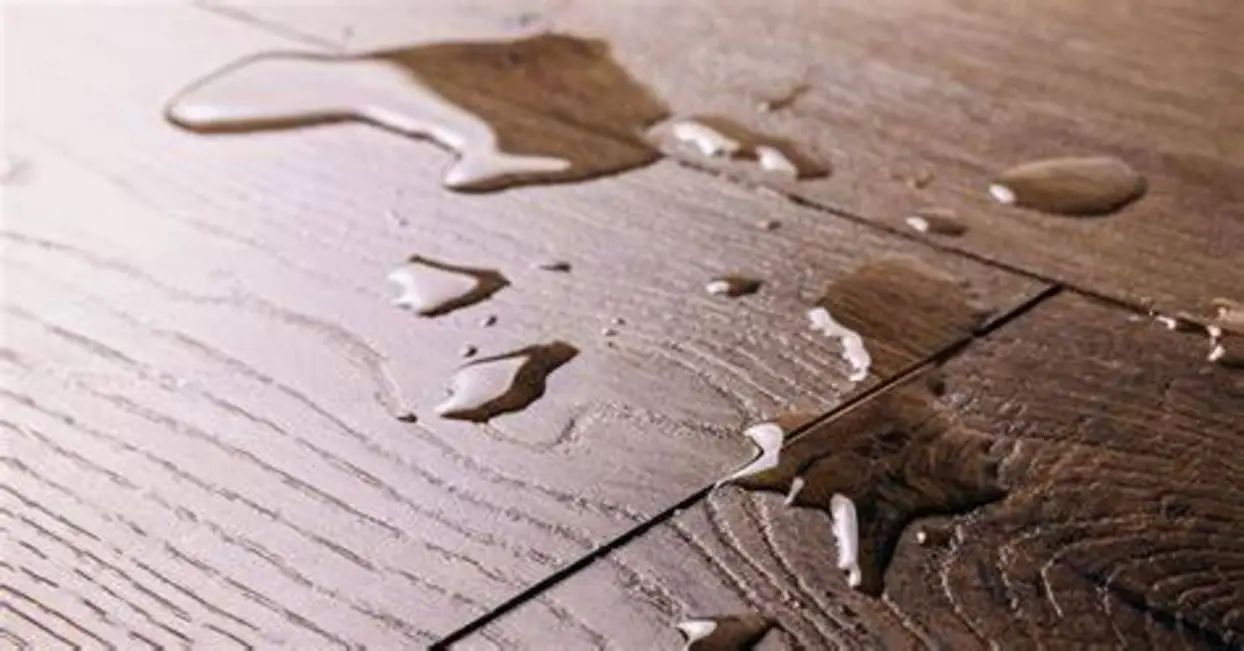 A Complete Guide to the Best Waterproof Flooring Options