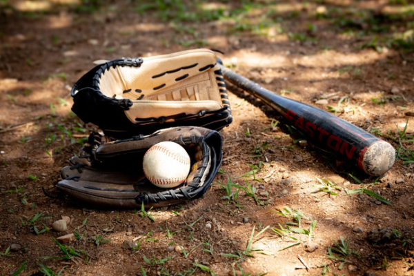 Batting Cage Netting