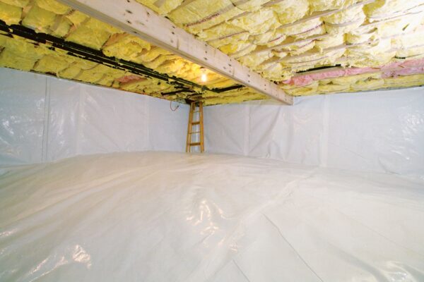 Crawl Space Encapsulation Services in Annandale, MN